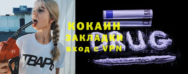 шишки Киренск