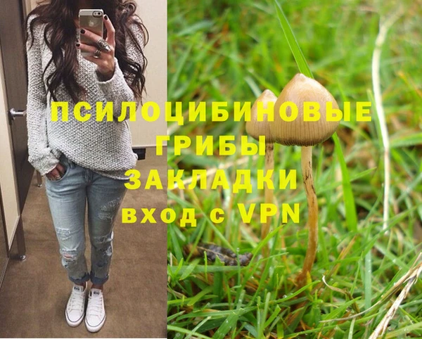 шишки Киренск