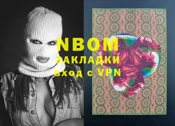 шишки Киренск