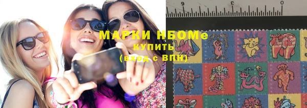 шишки Киренск