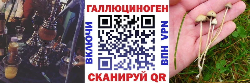 Псилоцибиновые грибы MAGIC MUSHROOMS  mega как войти  Шацк 
